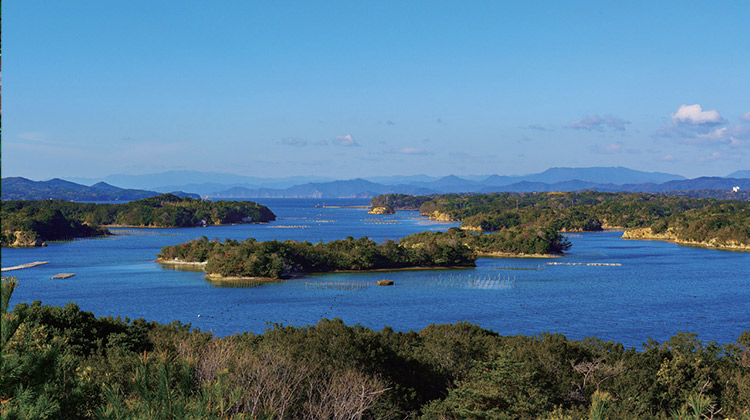 志摩夏草本校スクーリング | 通信制高校 東京　学校法人代々木学園 代々木高等学校 東京[公式]｜東京都渋谷区代々木